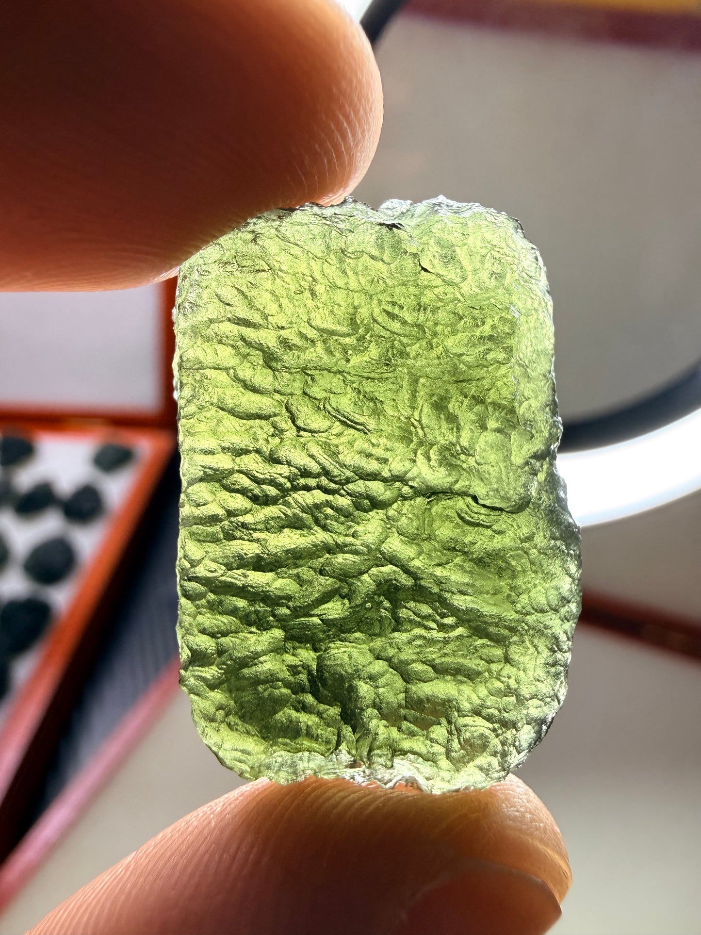 Moldavite Chlum 8.56 Gram