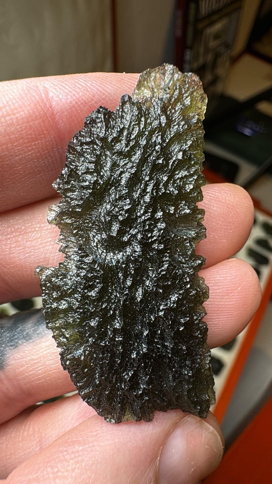 Nesmen Woods Moldavite 10.89gr