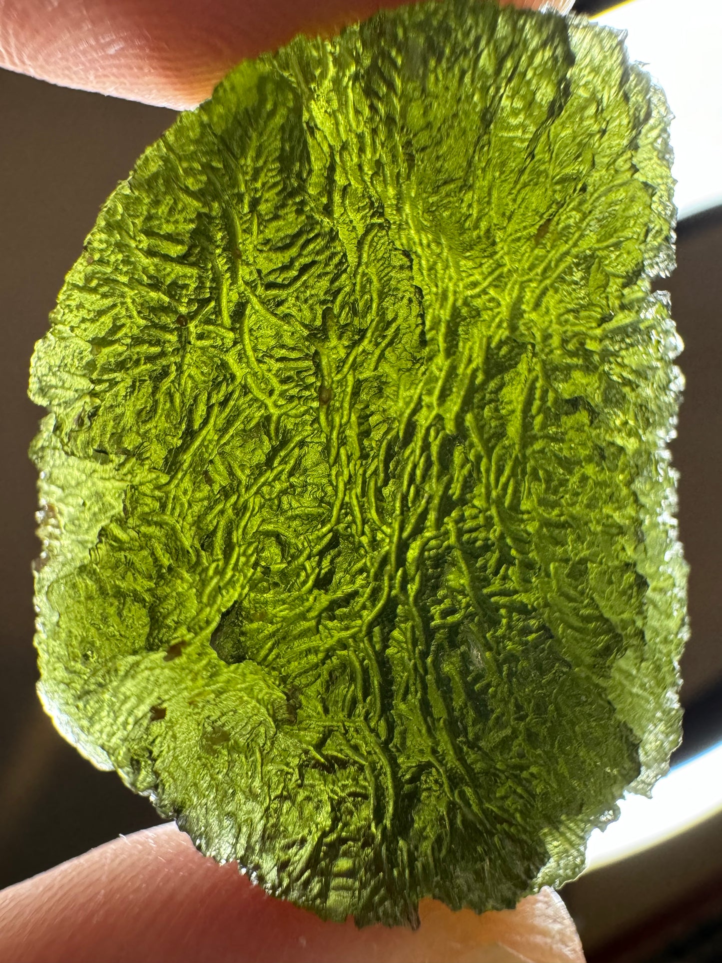 Moldavite from Bazina 16.81gr