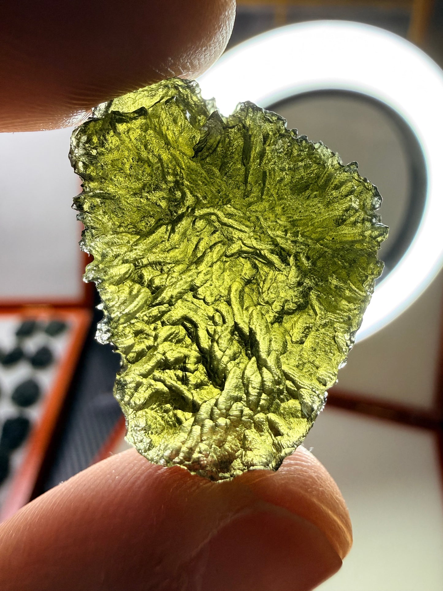 Moldavite Maly Chlum 7.19 Gram