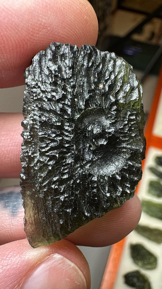 Nesmen Woods Moldavite 13.91gr