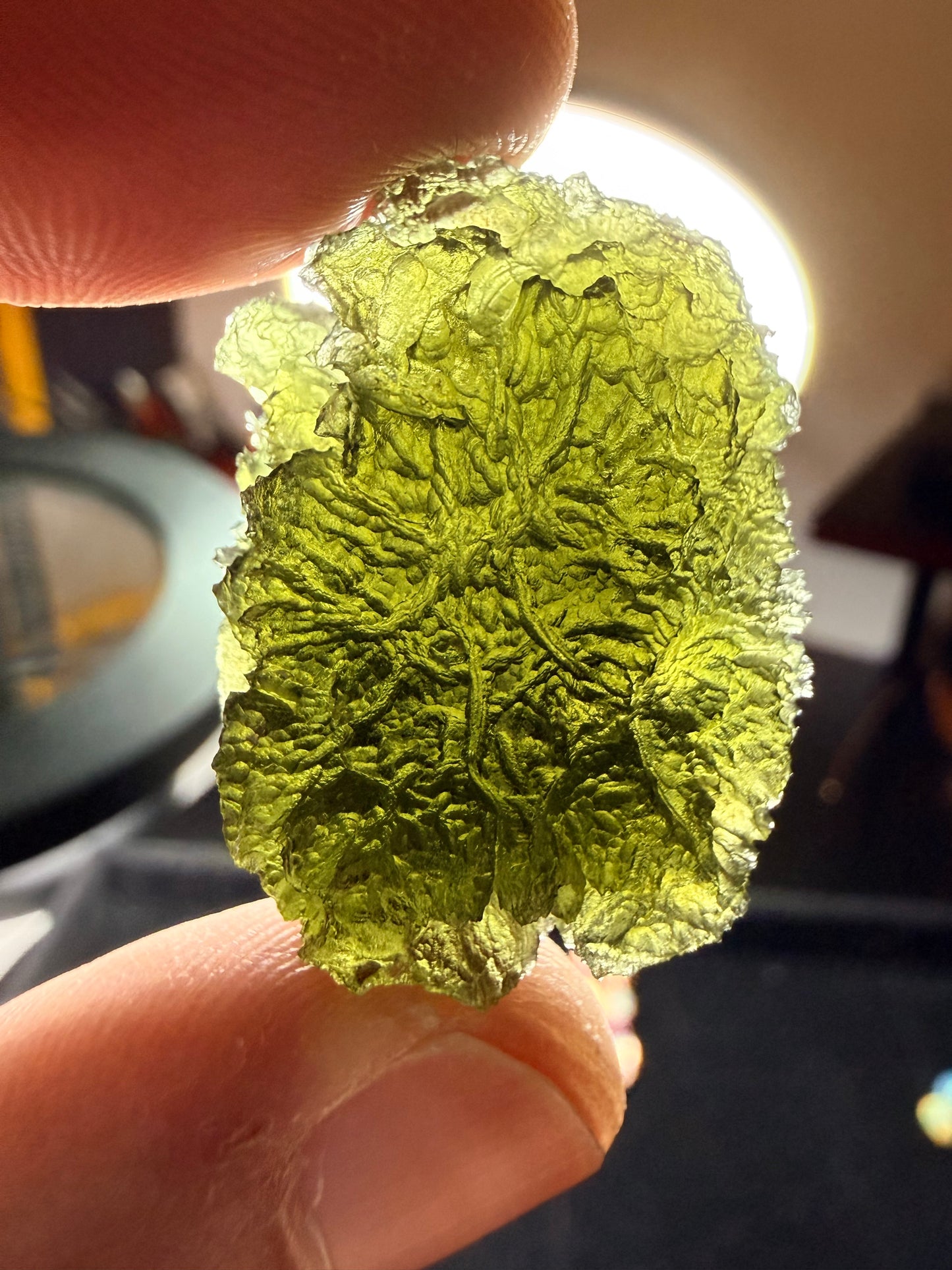 Moldavite 11.89 Gram Nesmen Forest