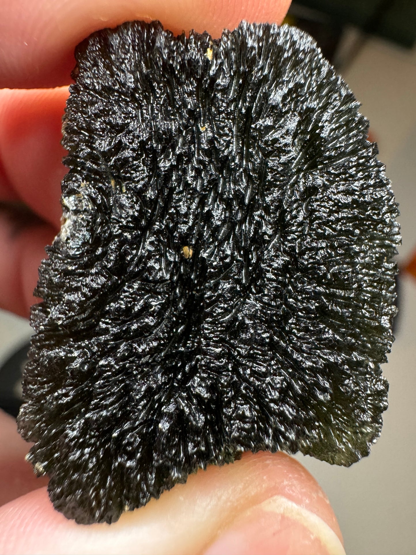 Moldavite from Bazina 16.81gr