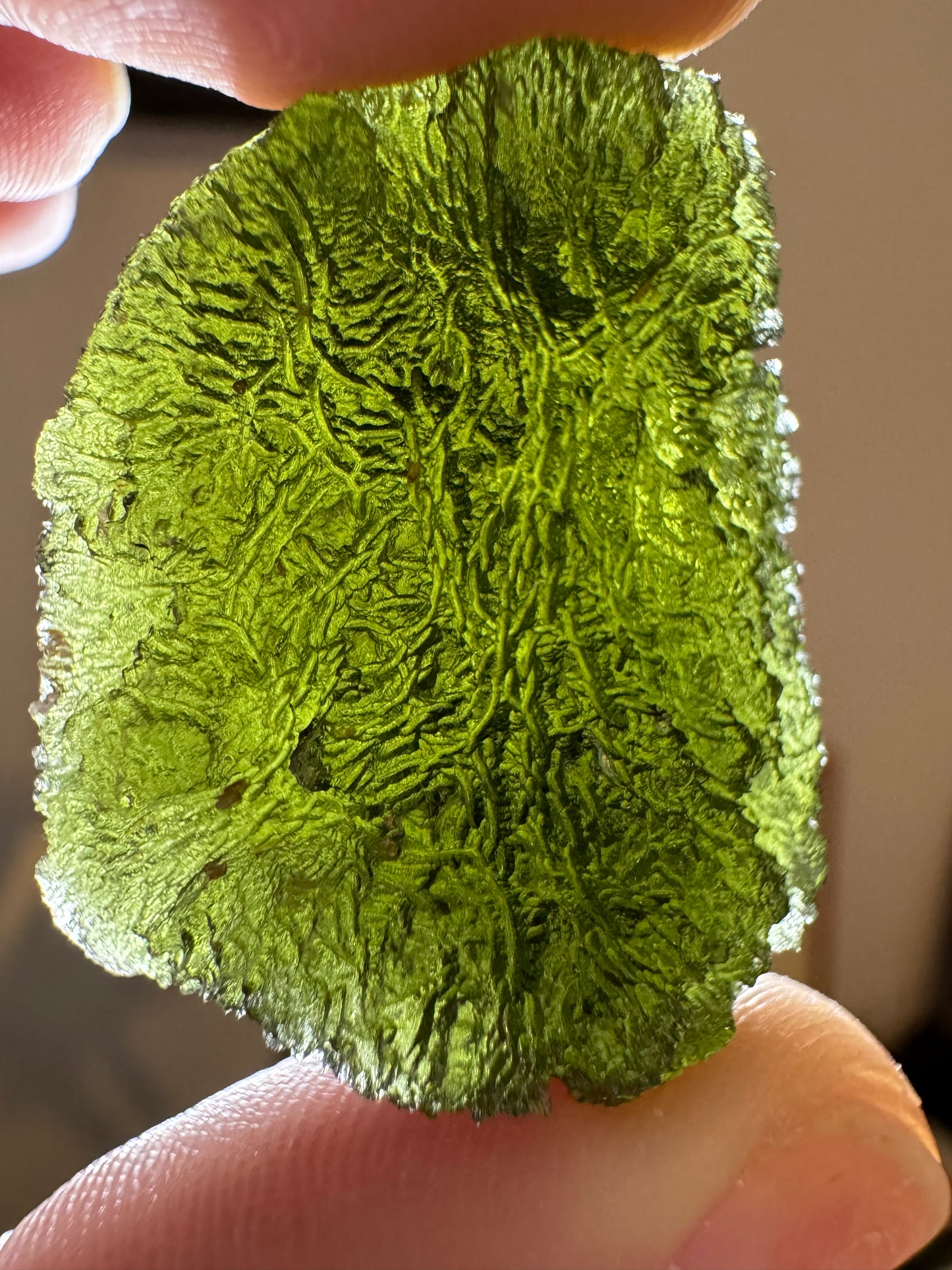 Moldavite from Bazina 16.81gr