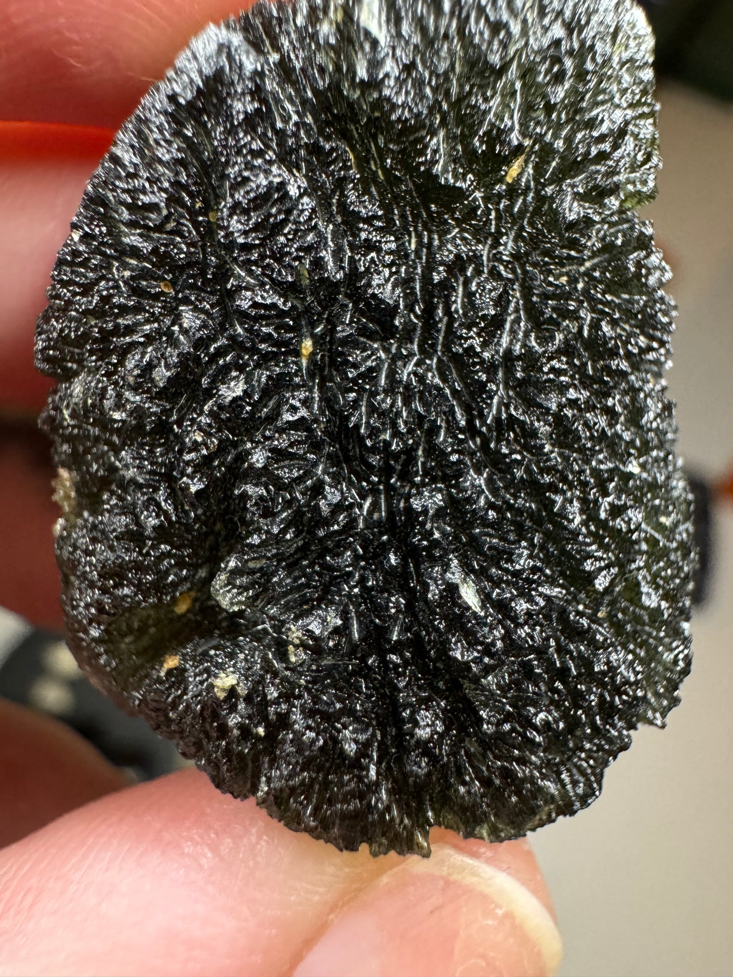 Moldavite from Bazina 16.81gr