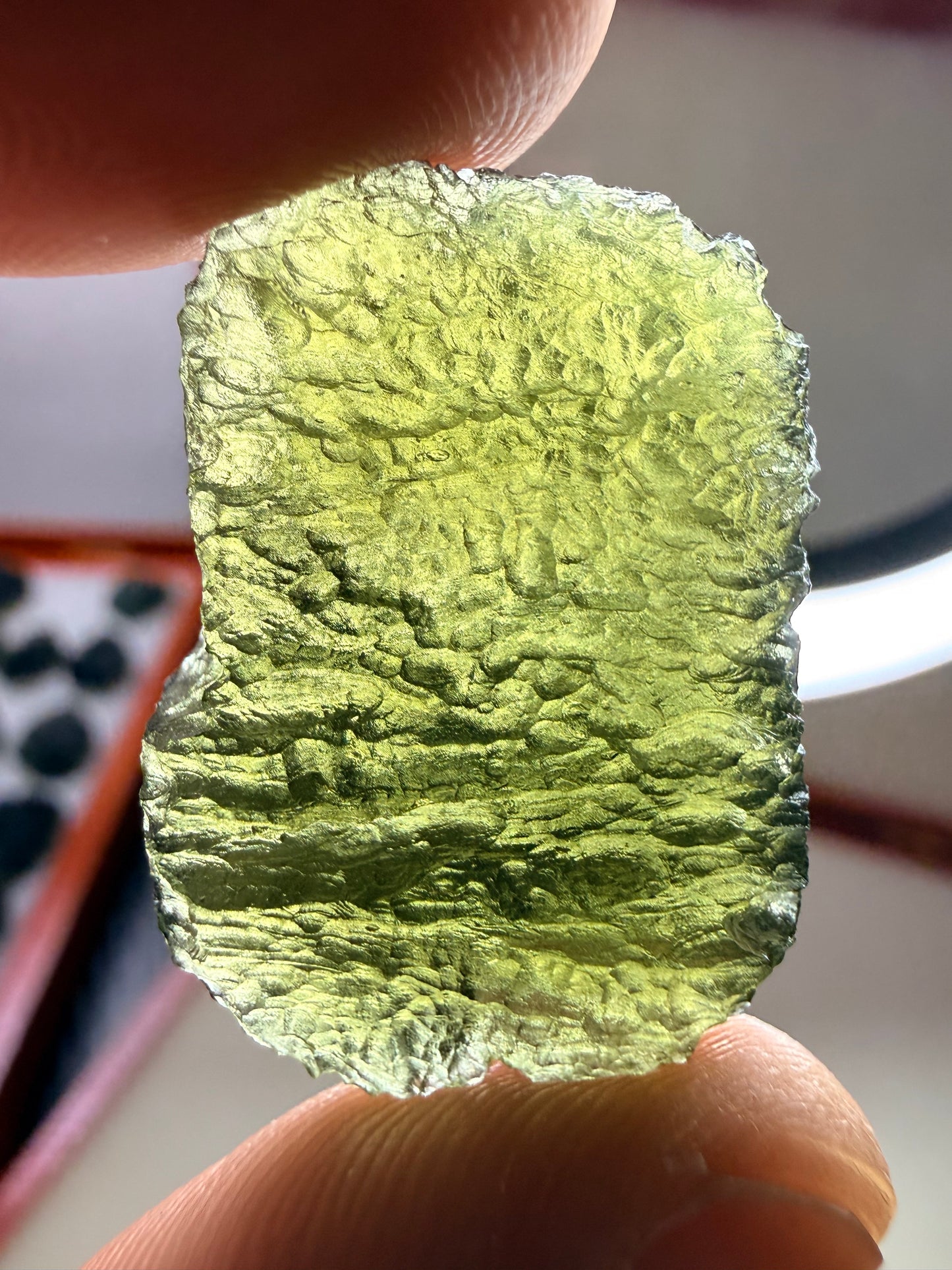 Moldavite Chlum 8.56 Gram