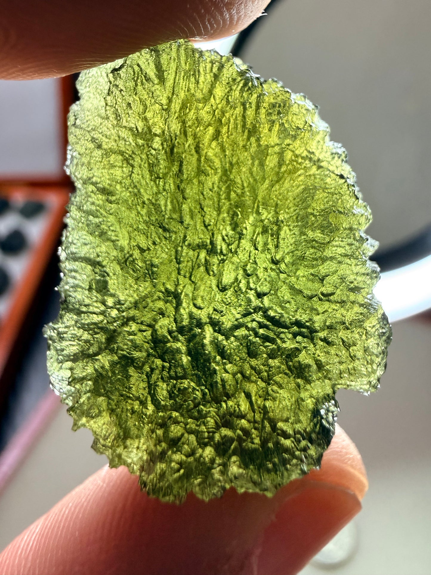 Moldavite 12.76 Gram