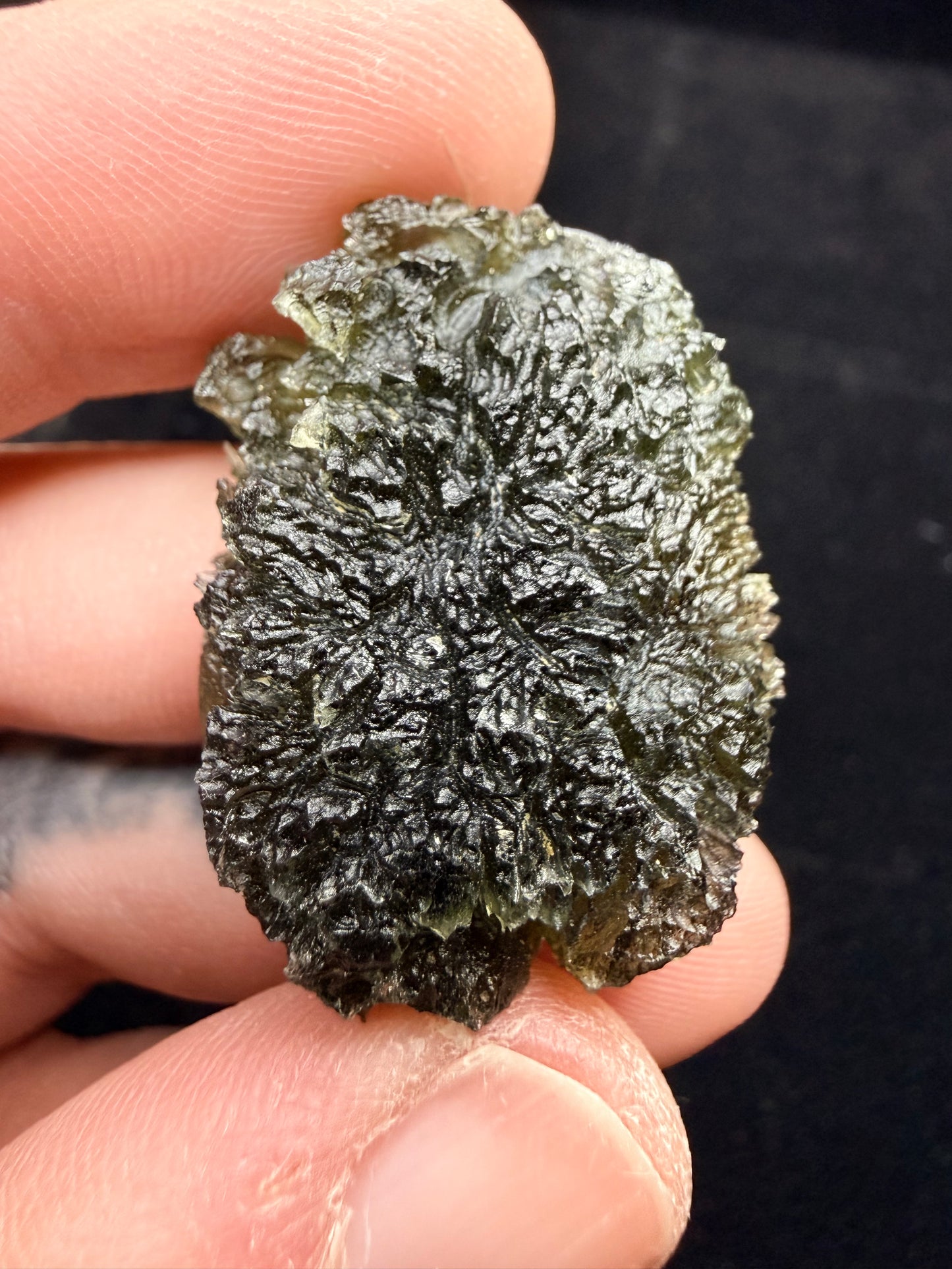 Moldavite 11.89 Gram Nesmen Forest
