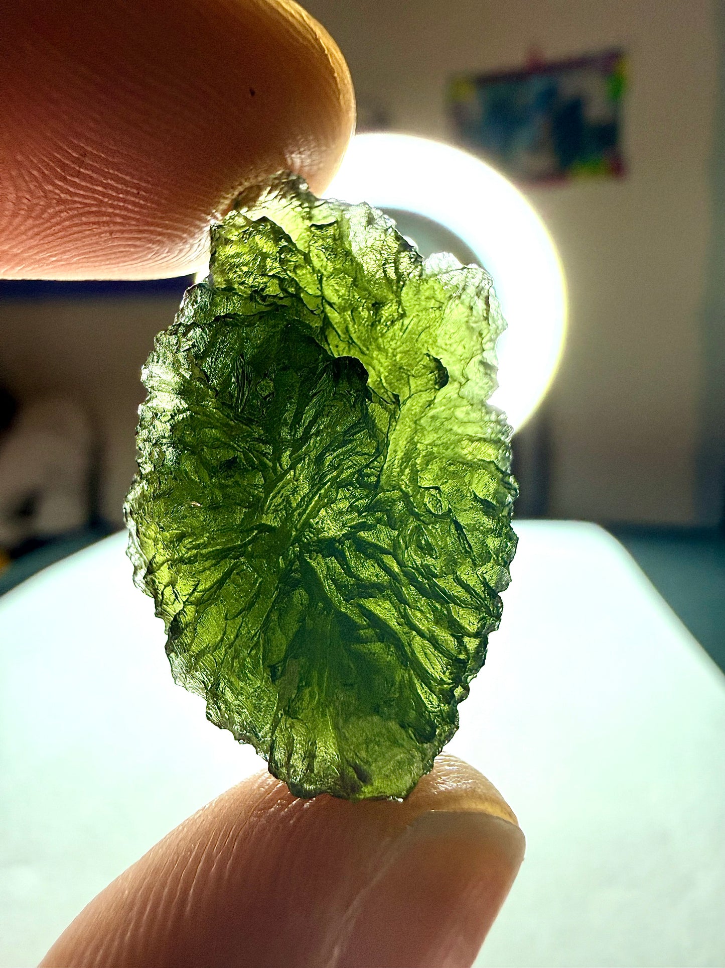 Raw Moldavite Loose Stone – Authentic Czech Moldavite Tektite, High Vibration Crystal, Collector Specimen, Spiritual Healing Stone