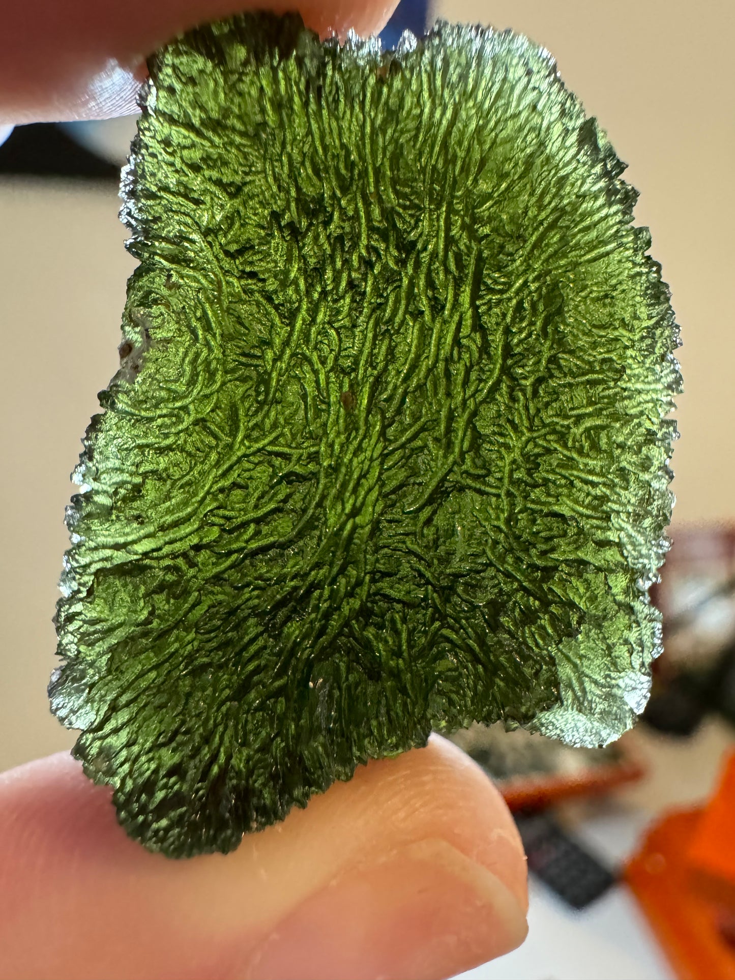 Moldavite from Bazina 16.81gr