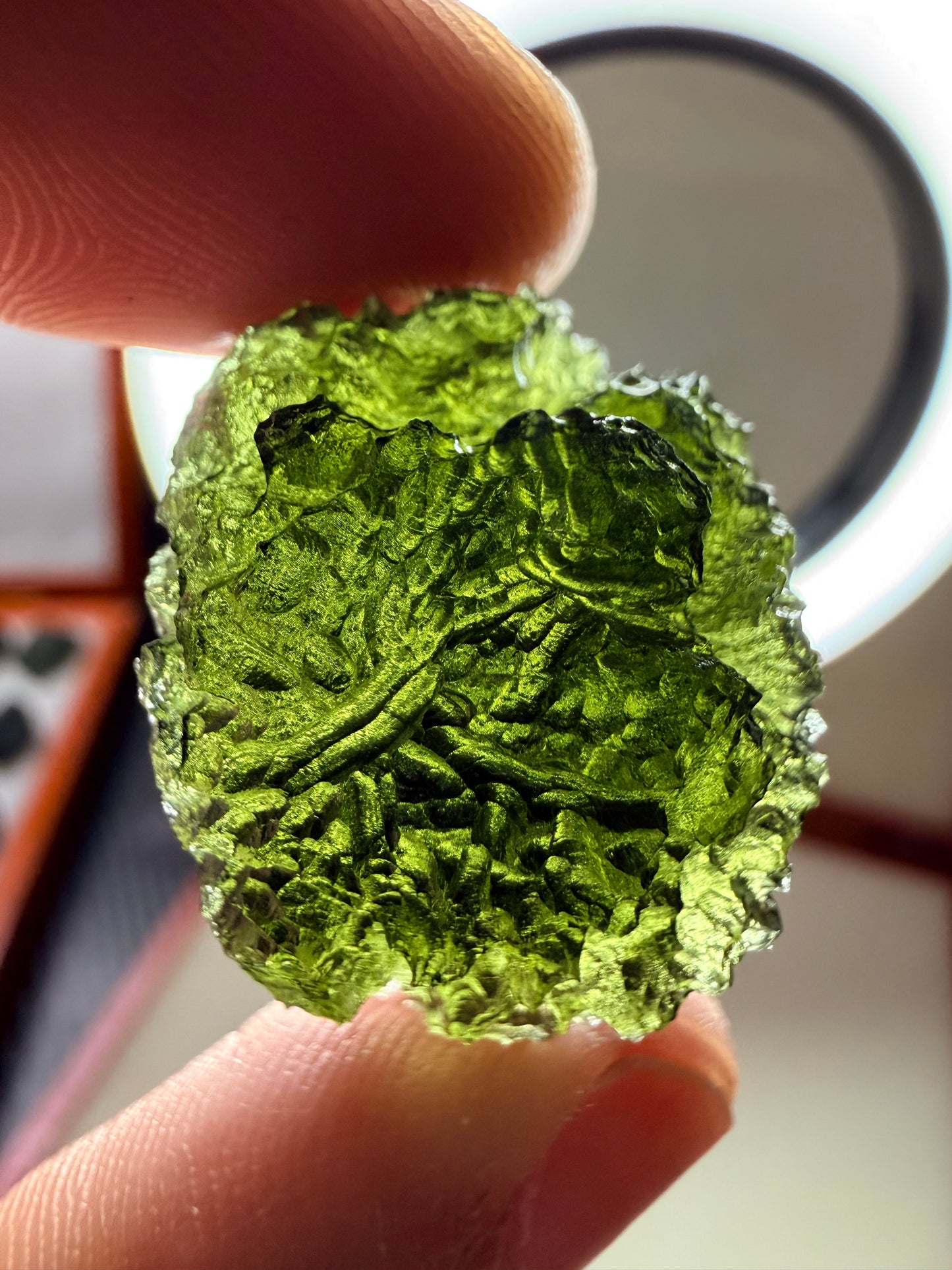 Moldavite 10.06 Gram